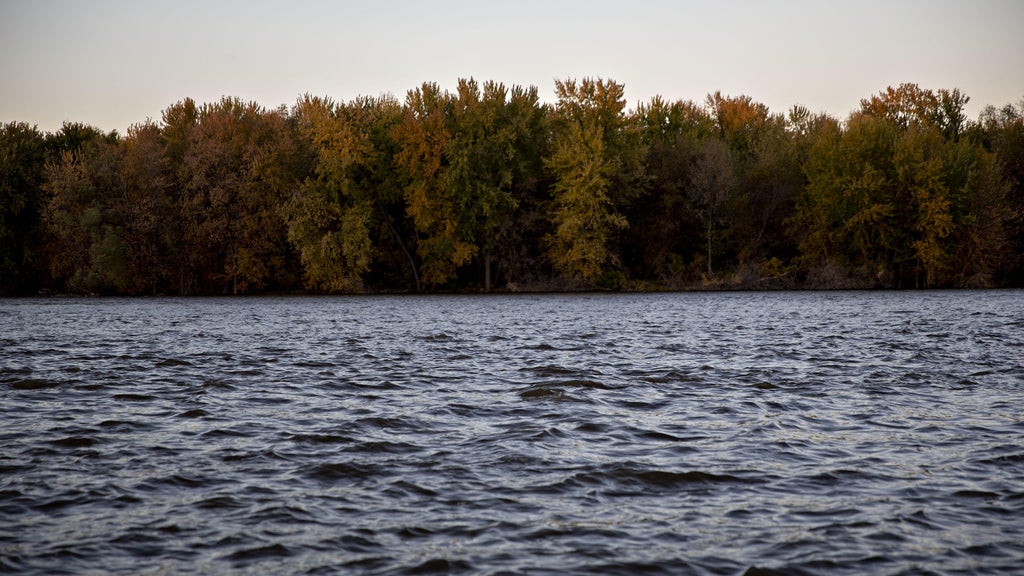 Watchdog says PFAS found in 100% of Minnesota water testing sites — WCCO / CBS Minnesota, Hopkins Health news