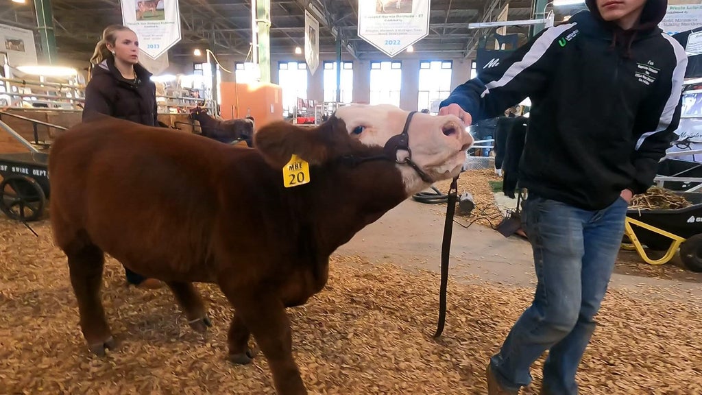 Spotlight on beef as Minnesota midterms near — WCCO / CBS Minnesota, Hopkins Community news