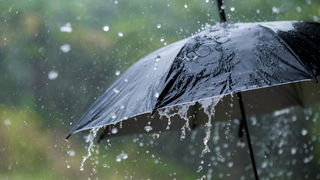 Widespread rain in Minnesota Monday; milder air returns Tuesday — WCCO / CBS Minnesota, Hopkins Community news