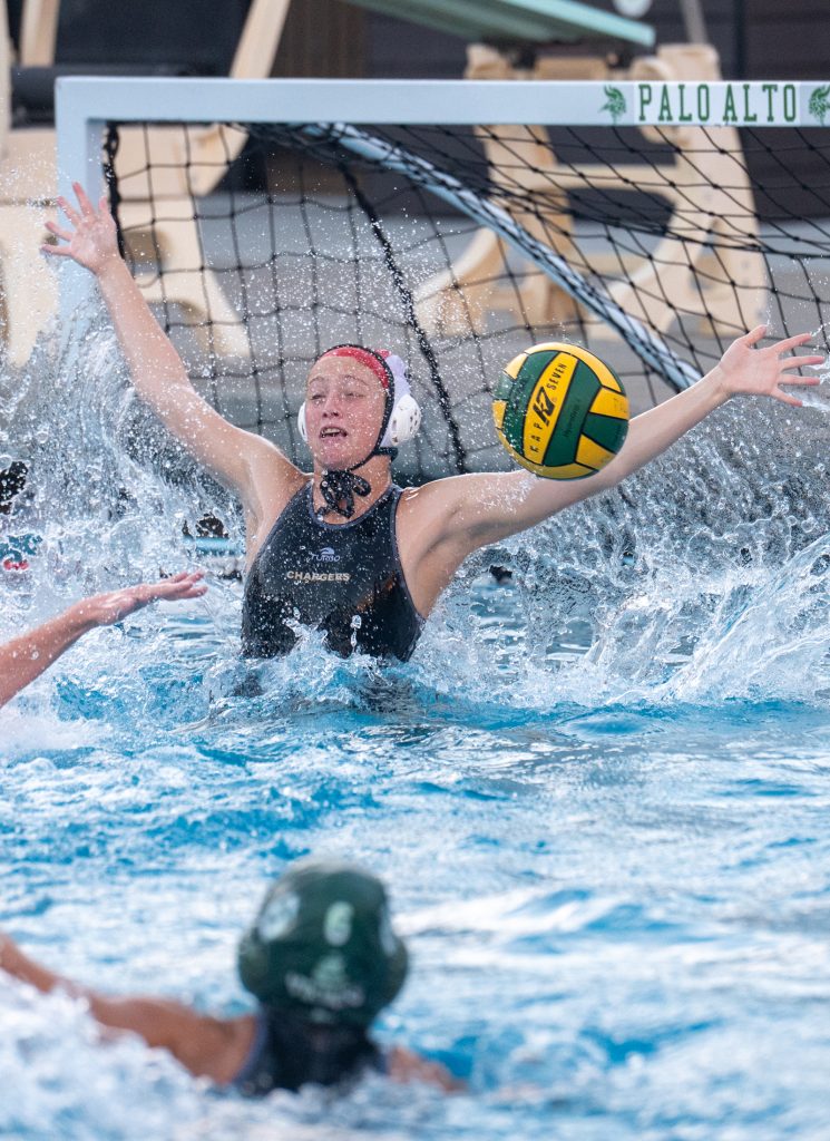 Wilcox Water Polo Caught in Vikings Rip Current — Silicon Valley Voice, Hopkins Sports news