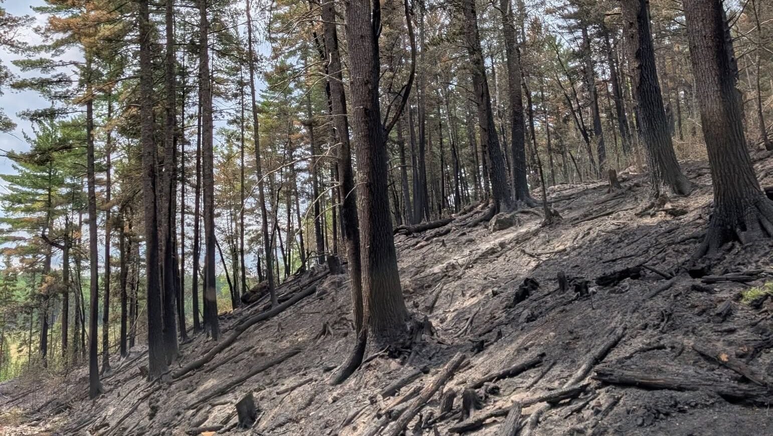 74-year-old who became separated from his family on a trail in Ely was discovered dead — KSTP 5, Hopkins Community news