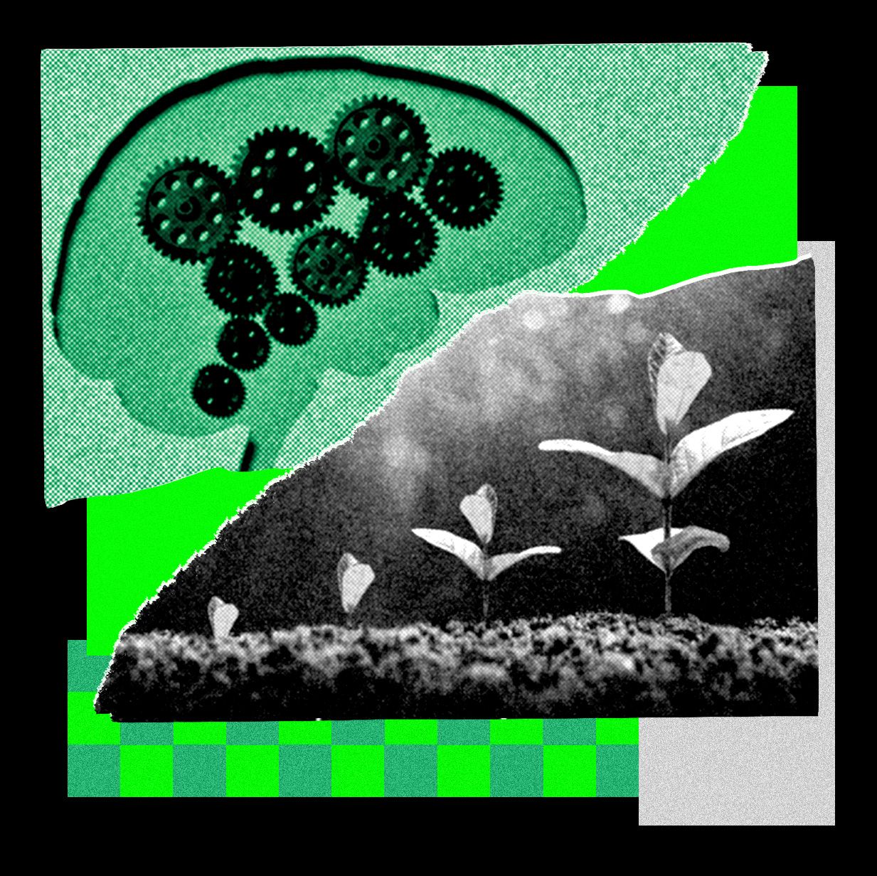 This Startup Is All In on Recursive Self-Improvement. Its Latest Model Is Scary Good — Wired, Hopkins Technology news