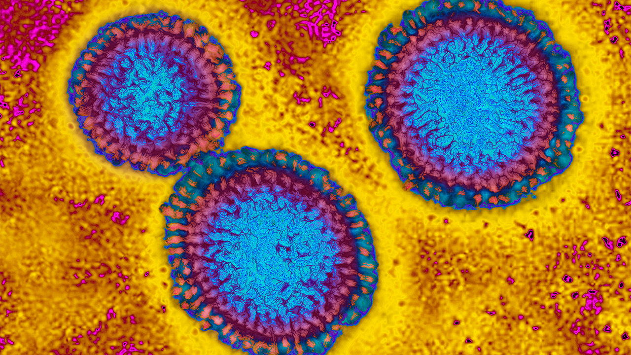 Flu hospitalizations 'slightly higher' than usual, officials urge vaccinations — FOX 9, Hopkins Health news
