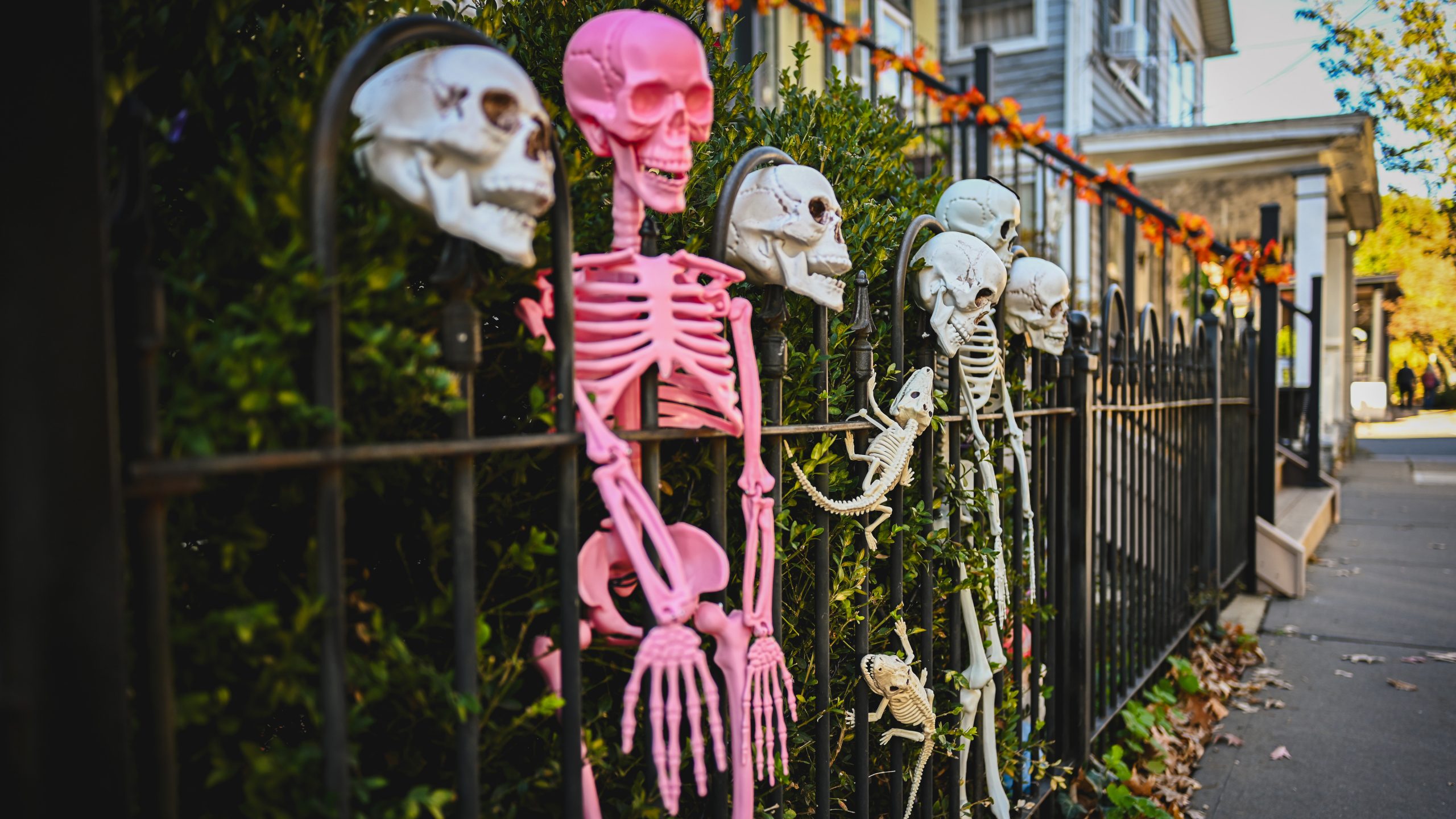 America's best cities for Halloween, ranked — FOX 9, Hopkins Community news