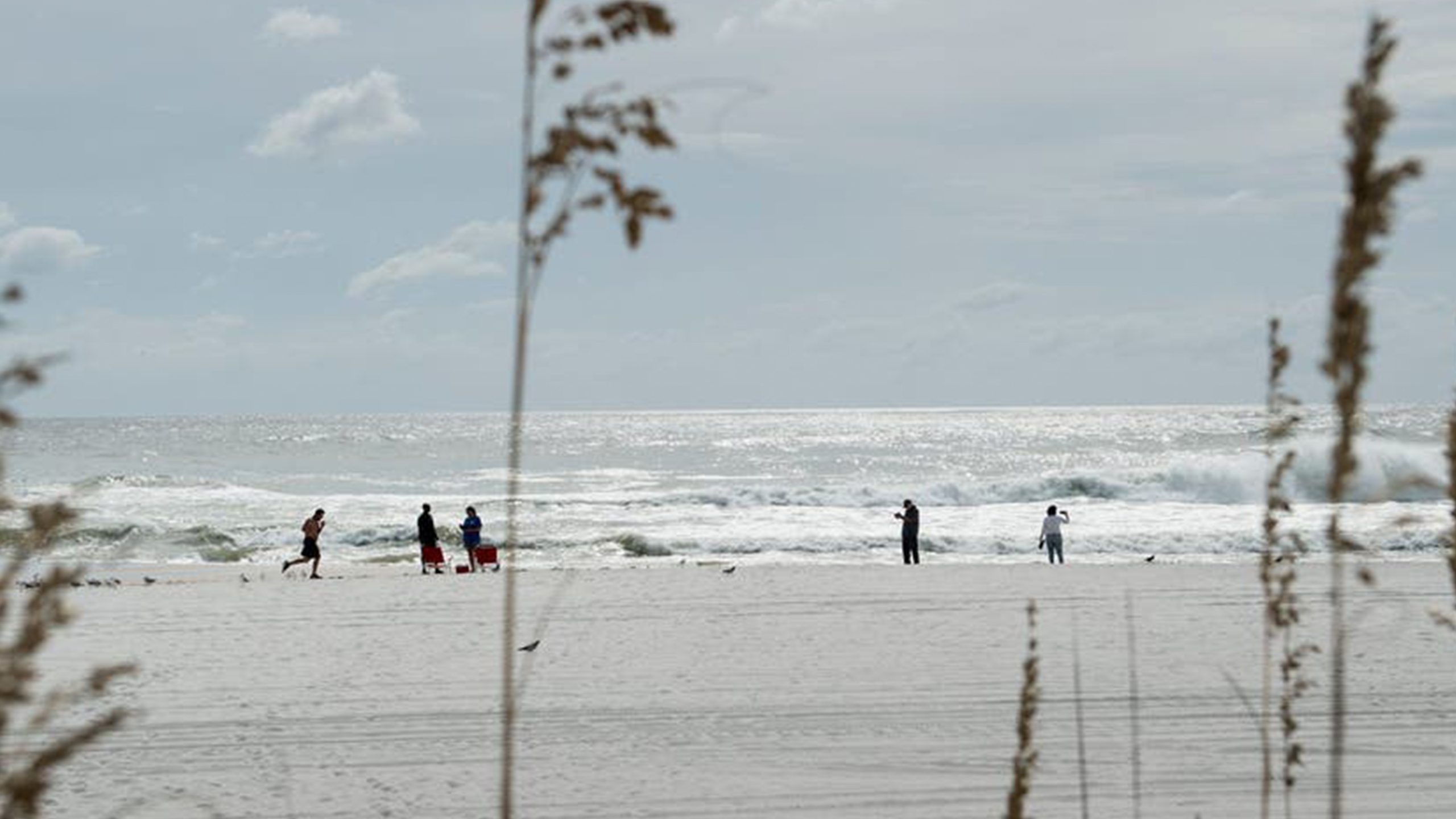Father of 2 drowns after being caught in current trying to rescue seagull caught in fishing line — Hopkins Community news