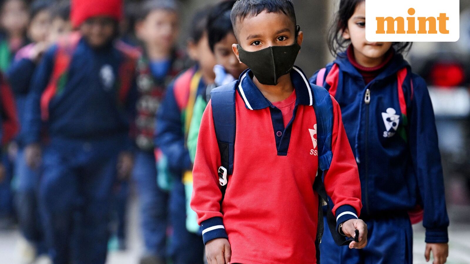 Chennai school holiday, Oct 21: Schools shut in four Tamil Nadu districts as heavy rains predicted | Check IMD alert — Mint India, Hopkins Schools news